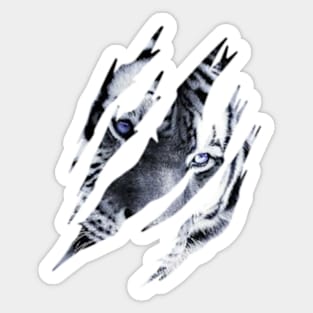 Cat Eye of the Fearless Tiger Silhouette Sticker